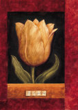 Orange Tulip Prints by Herve Libaud Orange Tulip Prints by Herve Libaud