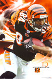 Cincinnati Bengals- TJ Houshmandzadeh Posters