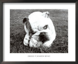 Obsess Poster by Sharon Beals