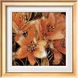 Apricot Dreams I Prints by Lane Ashfield