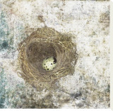 Nest Egg Stretched Canvas Print by Susan Friedman