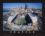 Seattle Seahawks- Quest Field Print