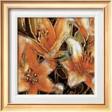 Apricot Dreams II Print by Lane Ashfield