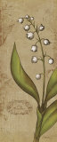 Lilium II Print by Katie Pertiet