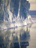 Pete Oxford - Tabular Iceberg in the Weddell Sea, Antarctica Obrazy Pete Oxford - Tabular Iceberg in the Weddell Sea, Antarctica Obrazy