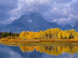 Mt, Moran and Snake River at Oxbow Bend, Grand Teton National Park, Wyoming, USA Autumn Prints by Pete Cairns