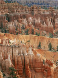 Hoodoo Sandstone Structures, Bryce Canyon National Park, Utah, USA Print by Pete Cairns