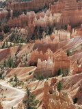 Hoodoo Sandstone Rock Formations, Bryce Canyon National Park, Utah, USA Posters by Richard Du Toit