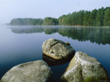 Loch Garten Rspb Reserve at Dawn, Highlands, Scotland, UK Affiches par Pete Cairns