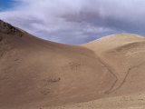 Funnel Fences for Catching Vicuna for Wool, San Antonio Community Project, Potosi, SW Bolivia Prints by Pete Oxford