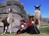 Local Indian Women with Domestic Llamas, Sacsayhumman, Cusco, Peru, South America Poster von Pete Oxford
