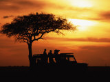 Tourists at Sunset by Acacia Tree, Masai Mara Game Reserve, Kenya Pósters por Anup Shah Tourists at Sunset by Acacia Tree, Masai Mara Game Reserve, Kenya Pósters por Anup Shah