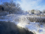 Scuppernong Creek in Winter Snow, Wisconsin, USA Posters by Larry Michael