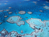 Aerial View of Hardy Reef, Great Barrier Reef and Sea, Queensland, Australia Posters by Jurgen Freund