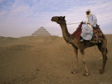 Bedouin Camel Rider in Front of Pyramid of Djoser, Egypt, North Africa Posters by Staffan Widstrand
