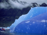 Blue Iceberg, San Rahael Glacier, Chilean Fjords, Chile, South America Poster by Pete Oxford