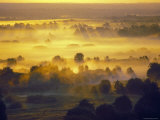 Sun Rise Over the Bryansk Forest, Bryansky Les Zapovednik, Russia Print by Igor Shpilenok