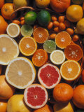 Citrus Fruits, Orange, Grapefruit, Lemon, Sliced in Half Showing Different Colours, Europe Poster von Reinhard 