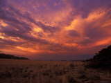 Cloudy Sunrise, Kaokoland, Namibia Posters by Tony Heald