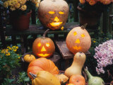Different Kinds of Pumpkin and Pumpkin Faces at Halloween (Cucurbita Sp.) Poster by Reinhard 