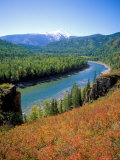 Autumn Colours and Katun River, Katunsky Zapovednik, Altai Mountains, Russia Posters by Igor Shpilenok