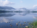 Dawn Over Loch Morlich, Cairngorms National Park, Scotland Affiche par Pete Cairns