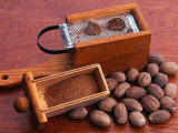 Nutmeg and Grater (Myristica Fragrans) Posters by Reinhard 