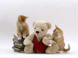 Domestic Cat, Two Red Burmese-Cross Kittens with Teddy Bear Posters par Jane Burton