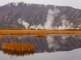 Geysers and Fumeroles of the Uzon Volcano, Kronotsky Zapovednik Reserve, Kamchatka, Russia Prints by Igor Shpilenok