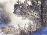 Early Morning Winter Frost Near River, Wisconsin, USA Posters by Larry Michael