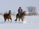 Cowboy Riding Red Dun Quarter Horse Gelding Through Snow, Bethoud, Colorado, USA Photo by Carol Walker