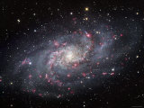 The Triangulum Galaxy Fotografie-Druck von Stocktrek Images 