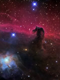 Nébuleuse de la tête de cheval Photographie par Stocktrek Images 