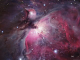 A Close up of the Orion Nebula Photographie par Stocktrek Images 