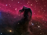 The Horsehead Nebula Lámina fotográfica por Stocktrek Images The Horsehead Nebula Lámina fotográfica por Stocktrek Images