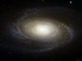 Spiral Galaxy M81 Photographie par Stocktrek Images 