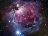 The Orion Nebula Fotografie-Druck von Stocktrek Images 