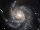 Spiral Galaxy Messier 101 (M101) Lámina fotográfica por Stocktrek Images