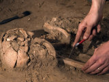 Archeological Dig Photographic Print by Stocktrek Images 