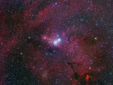 NGC 2264, the Cone Nebula Region Lámina fotográfica por Stocktrek Images
