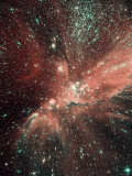 A Population of Infant Stars in the Milky Way Satellite Galaxy, the Small Magellanic Cloud Photographie par Stocktrek Images 