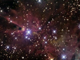 The Cone Nebula and Christmas Tree Cluster Photographie par Stocktrek Images 