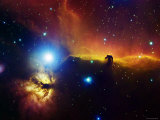 Alnitak Region in Orion (Flame Nebula NGC2024, Horsehead Nebula IC434) Photographie par Stocktrek Images 