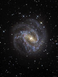 The Southern Pinwheel Galaxy Photographie par Stocktrek Images 