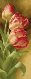 Spring's Parrot Tulip I Pósters por Igor Levashov Spring's Parrot Tulip I Pósters por Igor Levashov