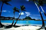 Palm Trees, Bora Bora Affiches par Beverly Factor