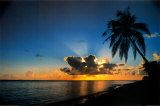 Sunrise Paradise Prints by Beverly Factor