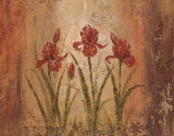 The Iris Style Poster by Vivian Flasch
