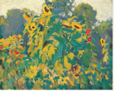 Sunflowers, Thornhill Stretched Canvas Print by J. E. H. MacDonald
