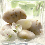 Spa Garden I Pósters por Donna Geissler
